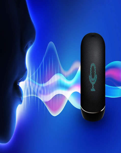 ia1 Speech Analytics
